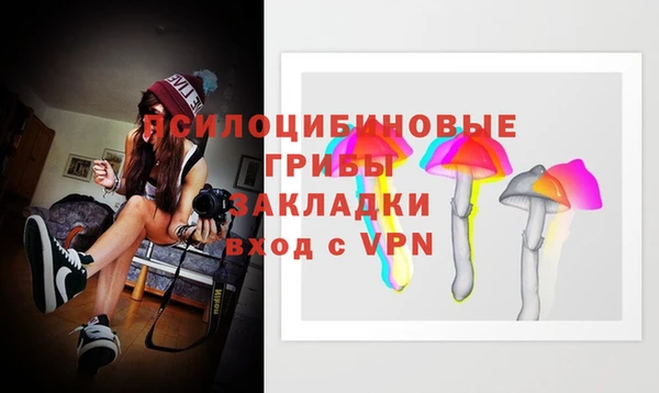 apvp Анжеро-Судженск