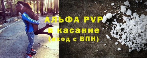 ECSTASY Ладушкин