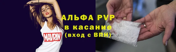 стафф Лабытнанги