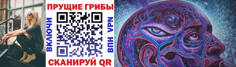 Псилоцибиновые грибы прущие грибы  купить   Спас-Деменск 